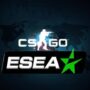 Esea csgo