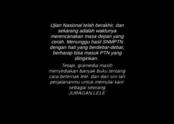 Juragan lele