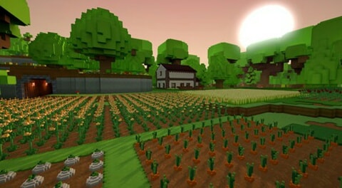 Farm staxel