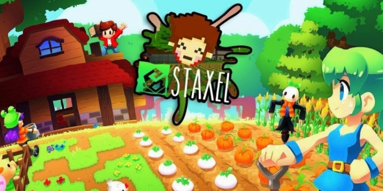 Staxel min