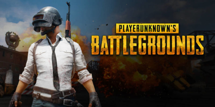 Playerunknowns battlegrounds 12937706