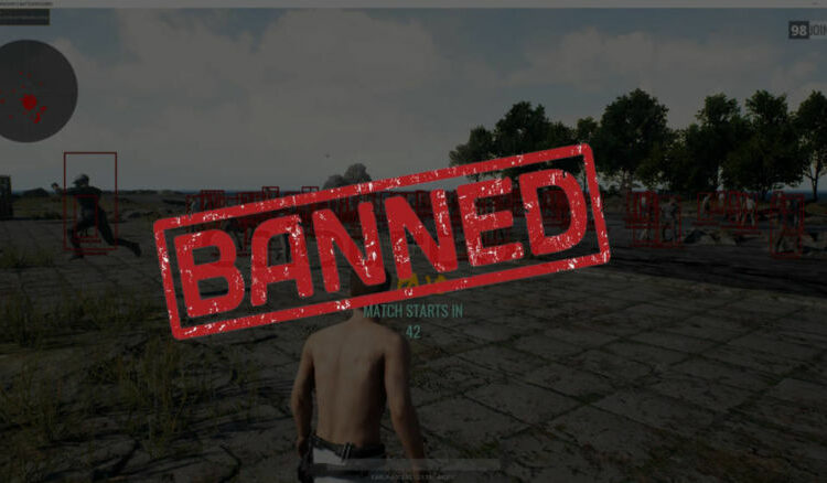 Pubg banned