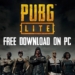 Khusus kentang, pubg lite versi pc akan masuk tahap beta dalam waktu dekat! Gamedaim