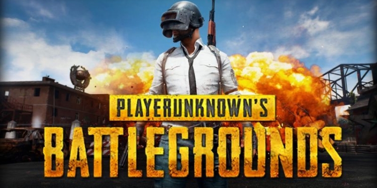 Mengalami penurunan jumlah pemain, pubg masih mampu hasilkan usd 1 miliar! Gamedaim