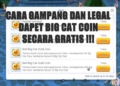 Beginilah cara mendapatkan big cat coin gratis di ragnarok m eternal love dengan mudah! Gamedaim