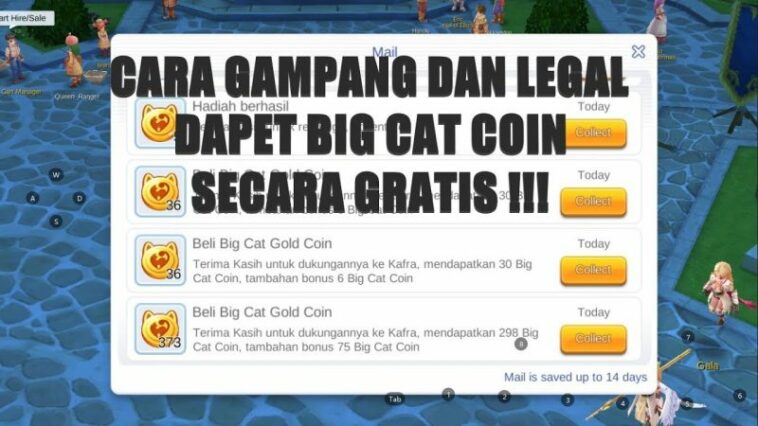 Beginilah Cara Mendapatkan Big Cat Coin Gratis Di Ragnarok M Eternal Love Dengan Mudah! Gamedaim