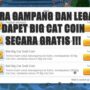 Beginilah cara mendapatkan big cat coin gratis di ragnarok m eternal love dengan mudah! Gamedaim