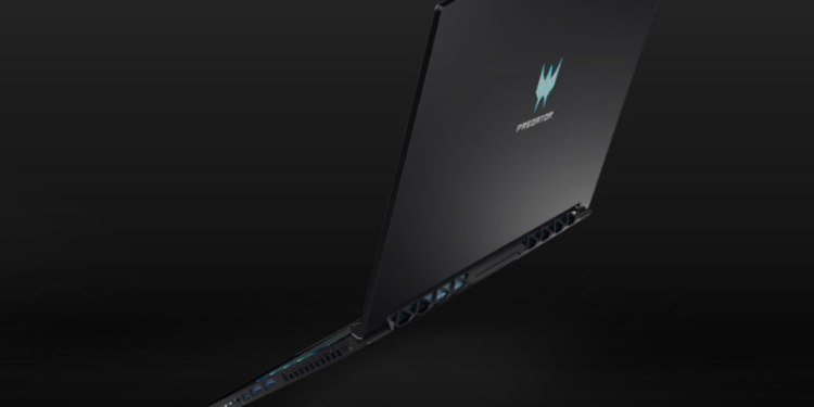 Acer predator