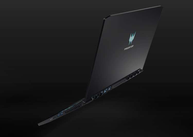 Acer predator