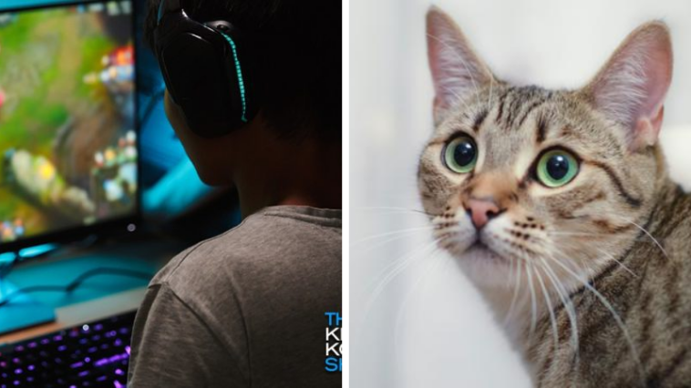 Kena Muntahan Kucing, Gamer Ini Gagal Streaming!