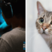 Kena muntahan kucing, gamer ini gagal streaming!