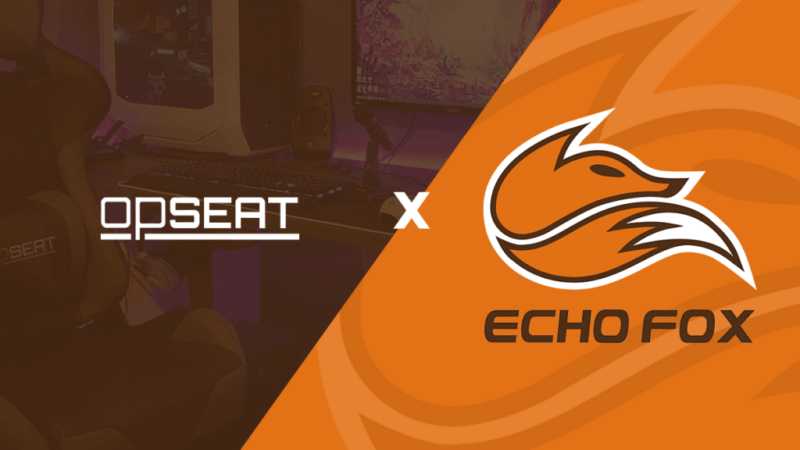 Echo fox