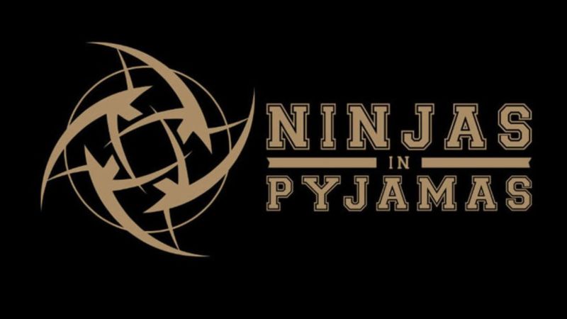 Ninja In Pyjamas