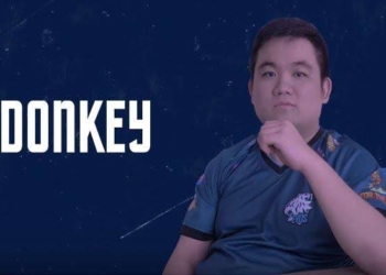 Pemain esports terbaik asal indonesia tahun 2019 donkey