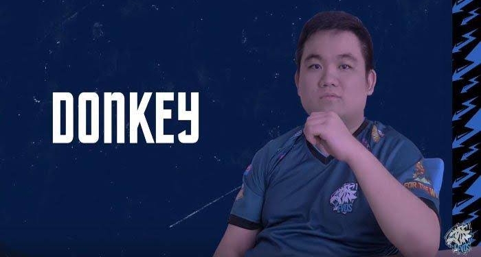 Pemain esports terbaik asal indonesia tahun 2019 donkey