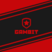 Gambit esports 3