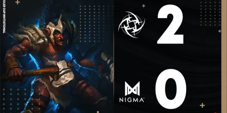 Nigma vs nip