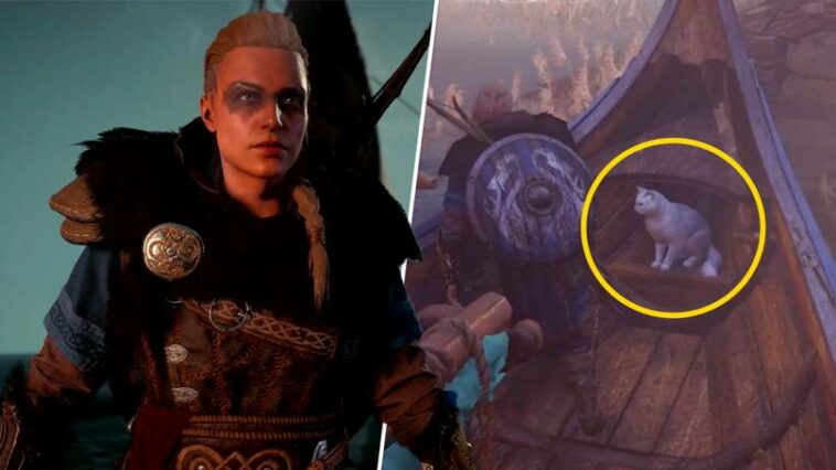 Assassin's Creed Valhalla Mungkinkan Kalian Untuk Memiliki Kucing! =