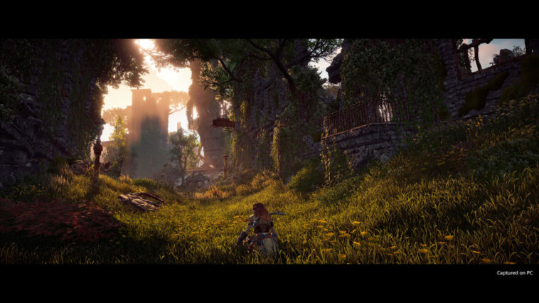 Horizon Zero Dawn Cover Image