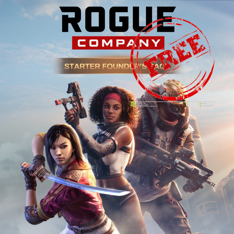 Rogue Company