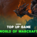 Begini cara top up game world of warcraft dengan mudah gamedaim