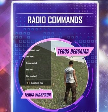 Radio Commands