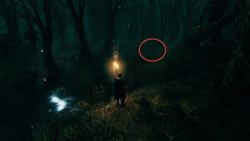 Player Valheim Temukan Easter Egg Sosok Misterius Yang Mengikuti | r/valheim