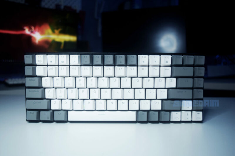 Rexus Daxa M84 Pro Keyboard Standing Gamedaim Review