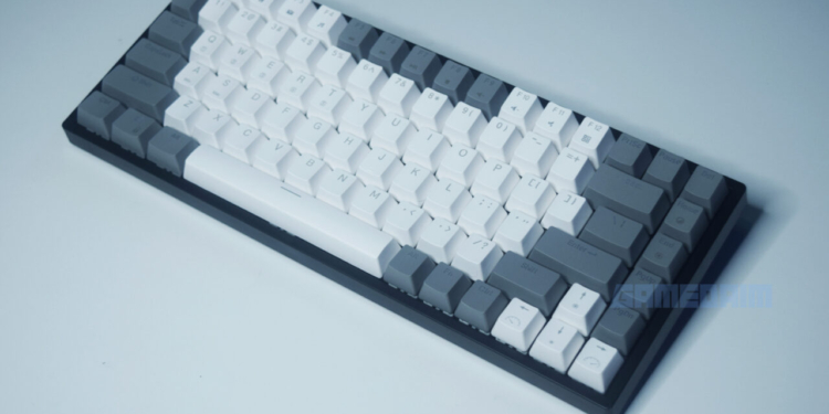 Rexus daxa m84 pro keyboard gamedaim review