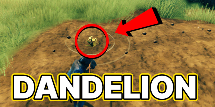 Cara mudah mendapatkan dandelion pada game valheim | spiel times