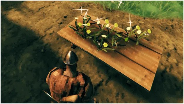 Kegunaan Utama Dari Dandelion | Valheim Wiki