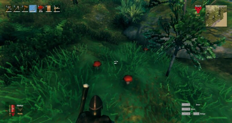 Cara Mudah Mendapatkan Mushroom Pada Game Valheim | Iron gate