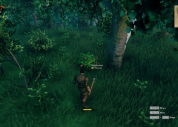 Cara mudah mendapatkan raspberries pada game valheim | valheim