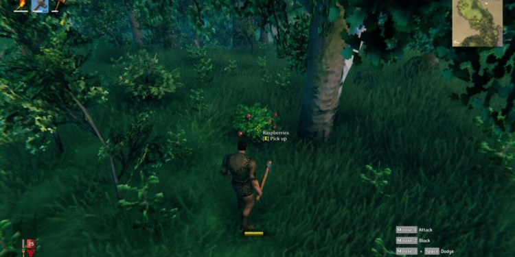 Cara mudah mendapatkan raspberries pada game valheim | valheim