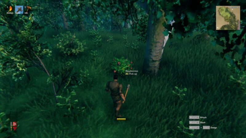 Cara Mudah Mendapatkan Raspberries Pada Game Valheim | Valheim