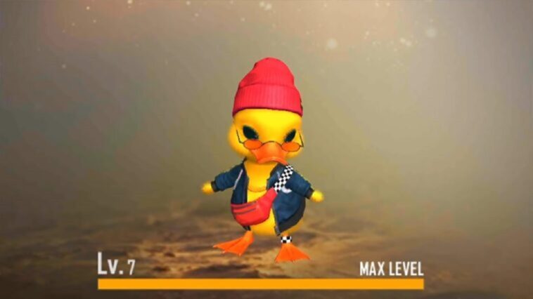 Dr Beanie Free Fire