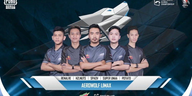 Aerowolf limax