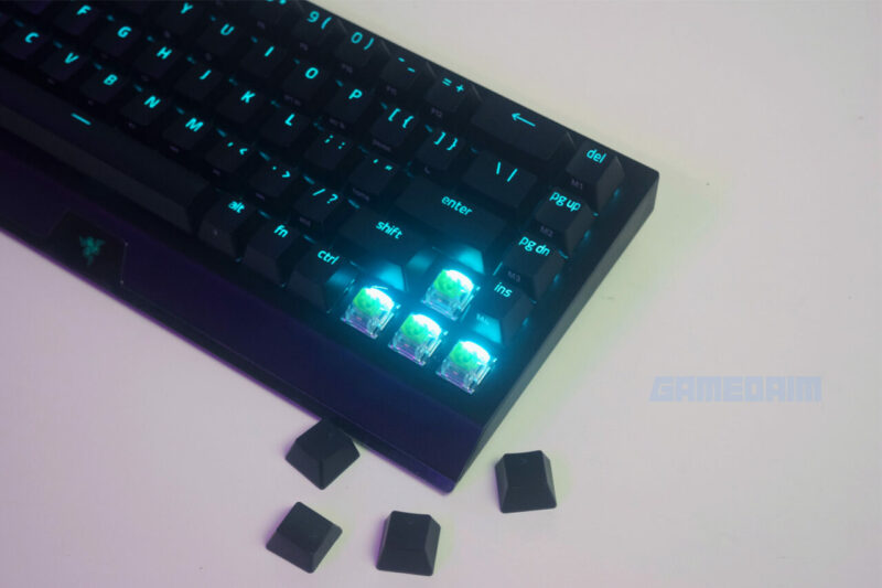 Razer blackwidowv3 mini hyperspeed razer green switch panah gamedaim review