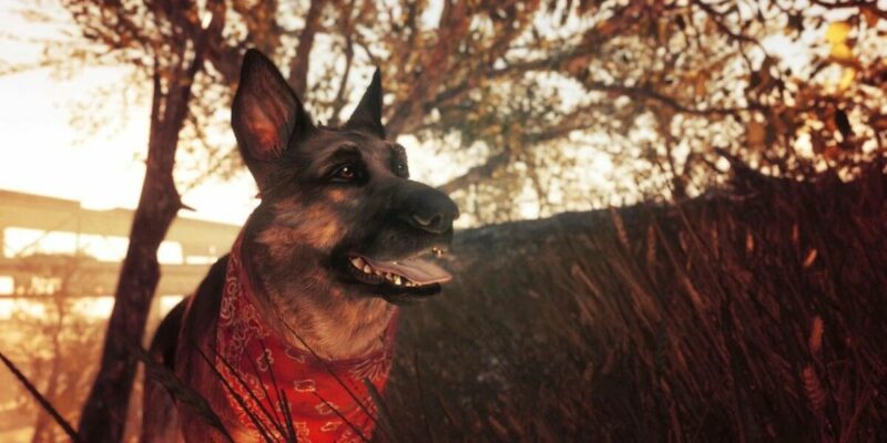 Model Asli dari DogMeat, Anjing Ikonik Fallout 4 Tutup Usia | Bethesda