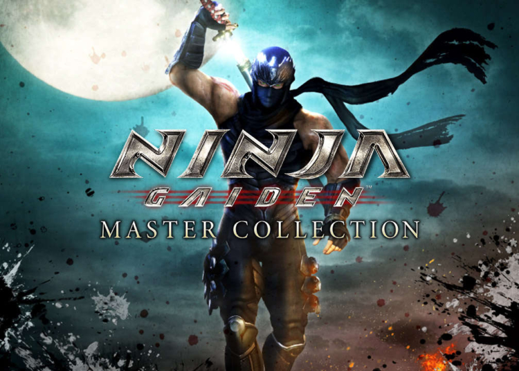 Ninja gaiden versi pc dapatkan opsi grafis setelah sebulan rilis 1 Ninja gaiden versi pc dapatkan opsi grafis setelah sebulan rilis | koei