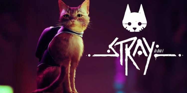 Tanggal rilis stray bocor lewat playstation database | bluetwelve