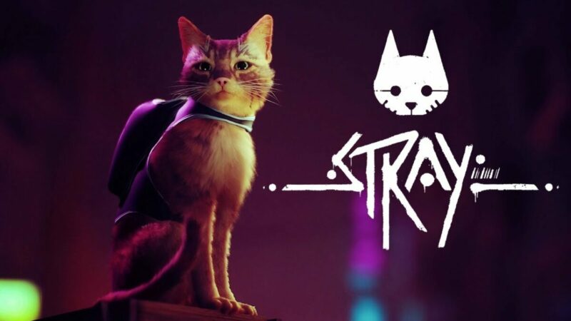 Tanggal Rilis Stray Bocor Lewat Playstation Database | BlueTwelve