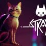 Tanggal rilis stray bocor lewat playstation database | bluetwelve