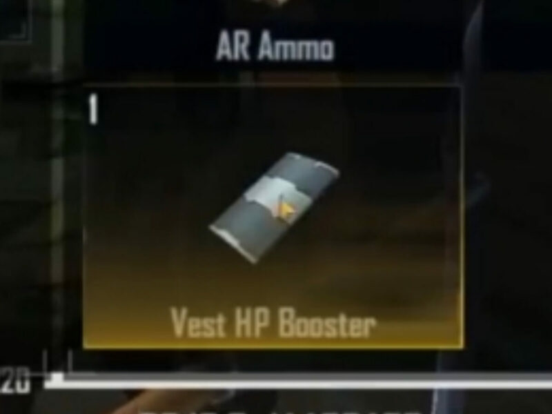 Vest Hp Booster