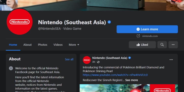 Nintendo asia tenggara