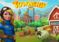 Township 3