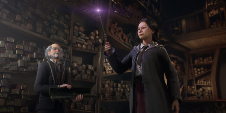 Ea membatalkan mmo harry potter