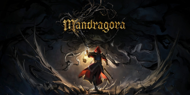 Mandragora