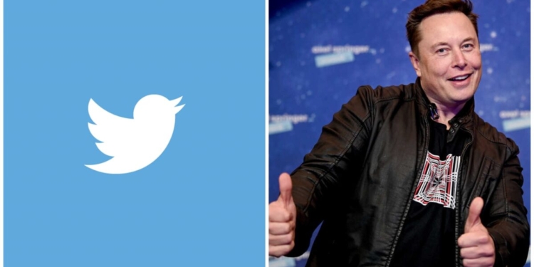 Elon musk beli twitter