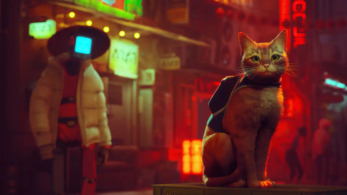 Game Petualangan Kucing Seru, Tanggal Rilis STRAY Diumumkan 1 Tanggal Rilis STRAY